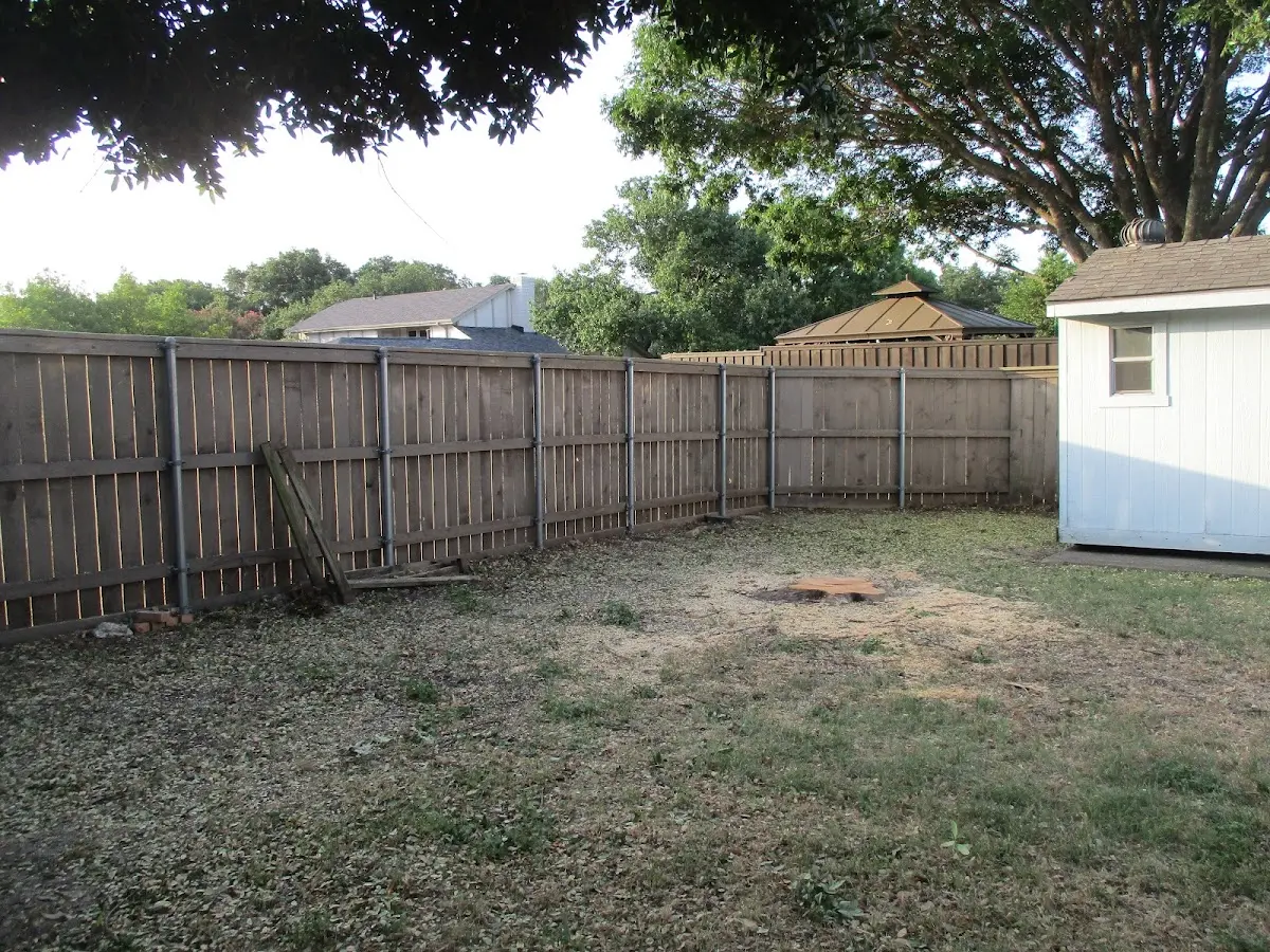 Cleared yard after professional tree removal in Siletz